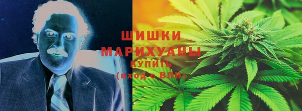 дживик Богородск
