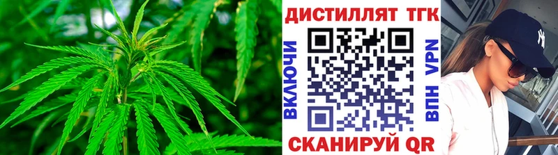 ТГК концентрат  omg ТОР  Мезень 