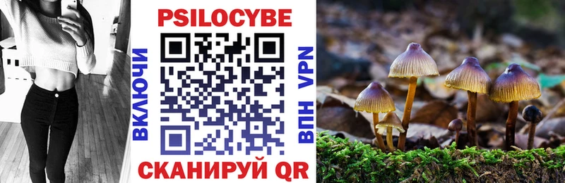 Галлюциногенные грибы Magic Shrooms  Мезень 